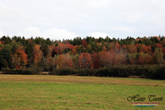 Shubenacadie Valley