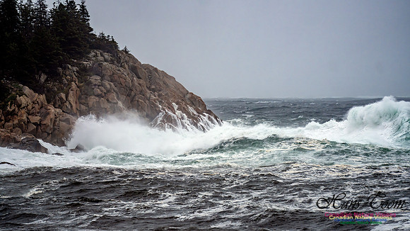 Nova Scotia Gale 2024-09-07 106