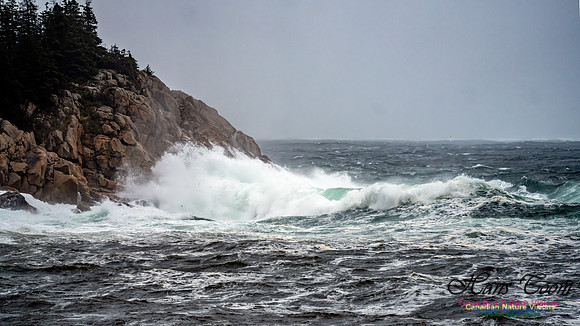 Nova Scotia Gale 2024-09-07 107