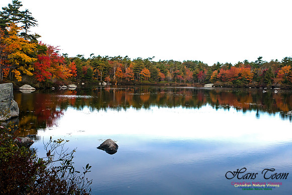 FallColours2012-44
