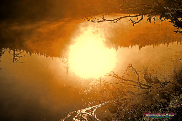 Reflections in a Late Winter Brook