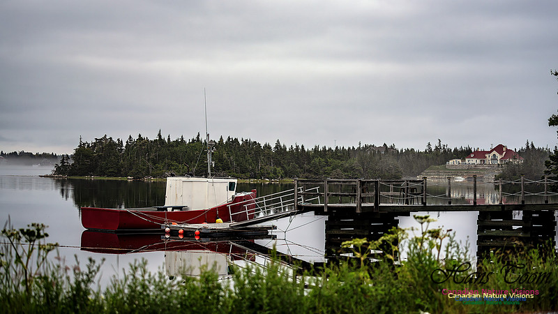 Harbour Traffic 107