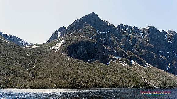Western Brook Pond 243