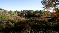 A Fall Stroll at the Frog Pond