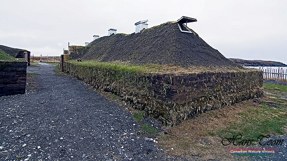 L'Anse aux Meadows 106