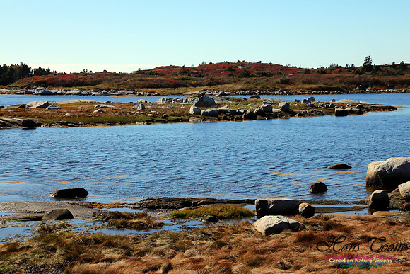 CoastalBarrensFall2016-1007