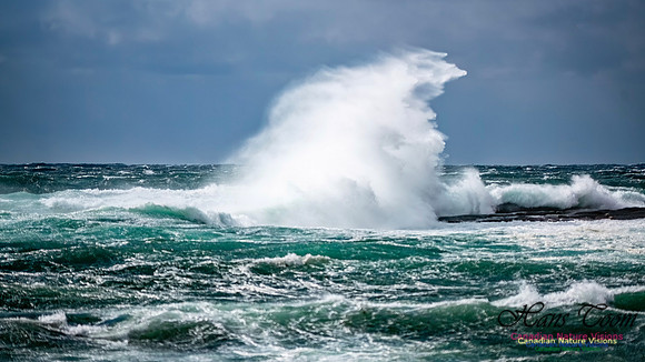 February 17 Gale 146