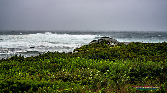 Nova Scotia Gale 2024-09-07 152
