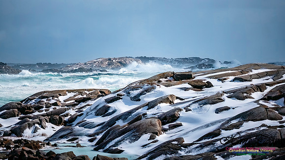 February 17 Gale 150