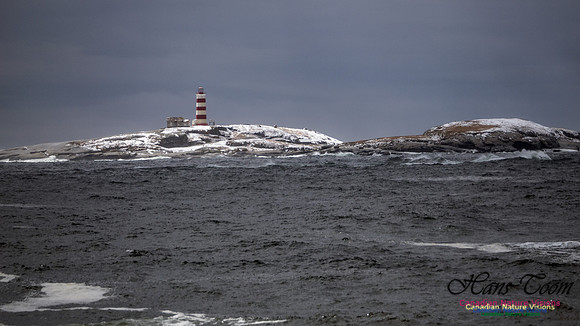 April Snow In Nova Scotia 122
