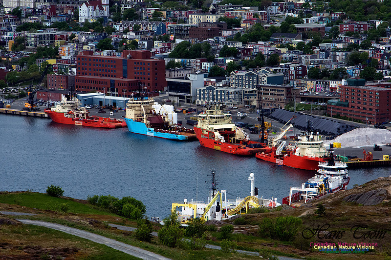 St. John's, Newfoundland and Labrador