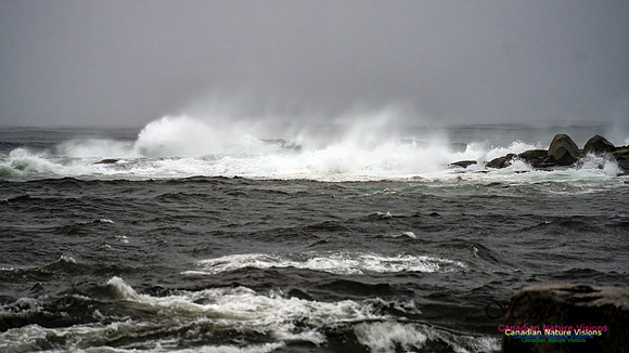 Nova Scotia Gale 2024-09-07 173