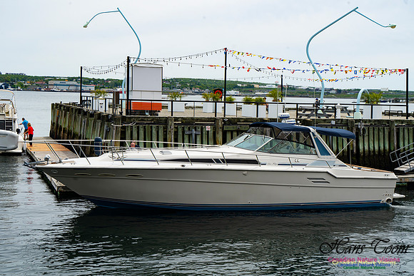 Halifax Waterfront Stroll 112