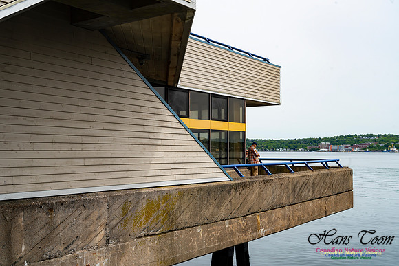 Halifax Waterfront Stroll 150