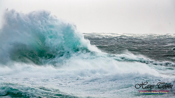 February 17 Gale 134