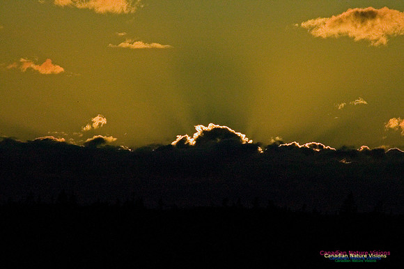 SunsetOverBarrens2