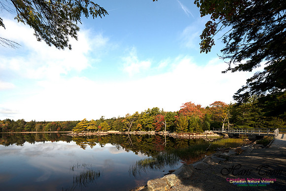 First Fall Photos Nova Scotia 121