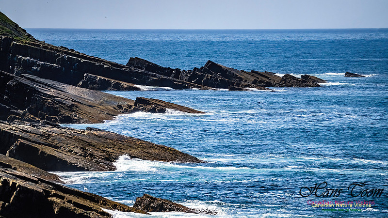 Cape Race 103