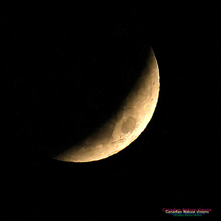 Lunar Eclipse 2022 105