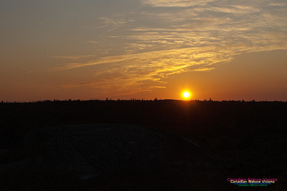 SunsetOverBarrens5