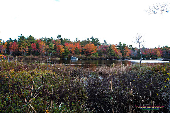 Sir Sanford Fleming Park