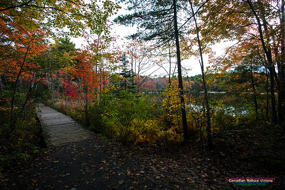 Sir Sanford Fleming Park