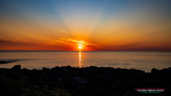 Brier Island Sunset 106