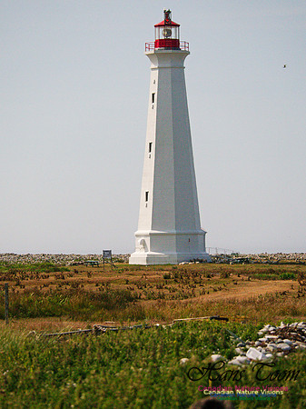 Cape Sable 2018 13