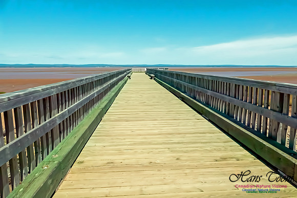 Minas Basin 4