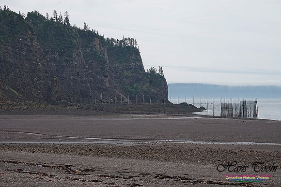 Partridge Island 171