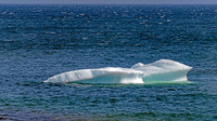 Twillingate