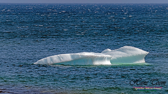 Twillingate 108