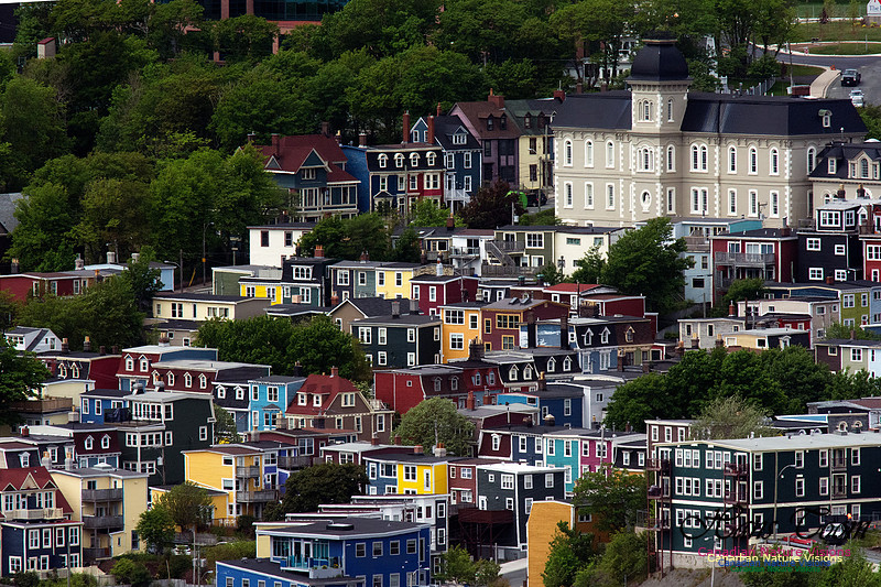 St. John's, Newfoundland and Labrador