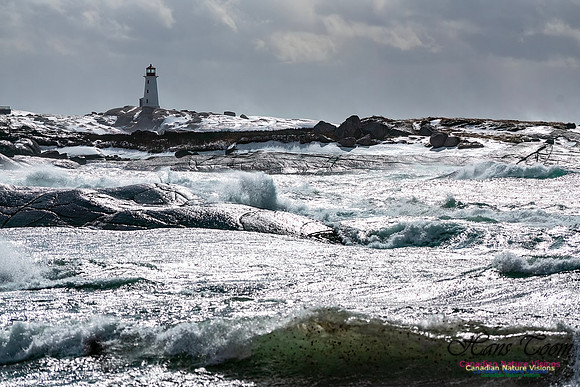February 17 Gale 141