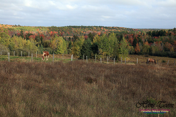Shubenacadie Valley