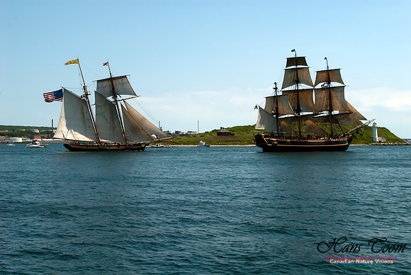 TallShips 2012