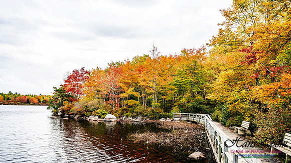 More Early Fall Photos in Nova Scotia 216