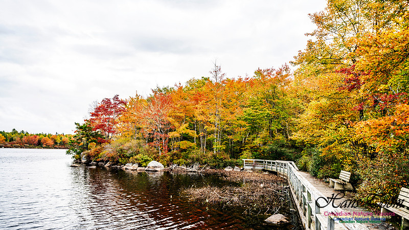 More Early Fall Photos in Nova Scotia 216