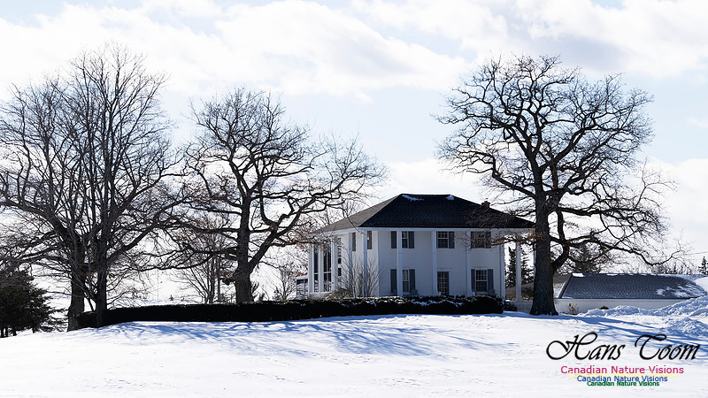 Architecture and snow 102