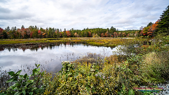 More Early Fall Photos in Nova Scotia 204