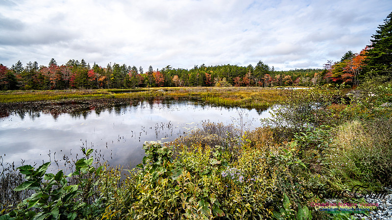 More Early Fall Photos in Nova Scotia 204