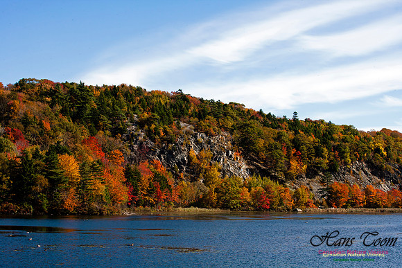 Red Bridge Pond
