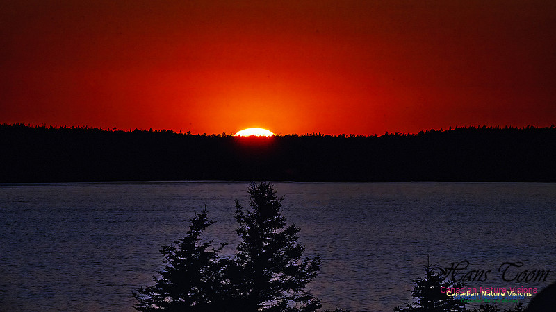 Sunset +1 102 copy