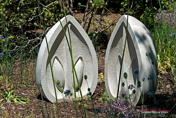 Rock Garden at Agricultural College