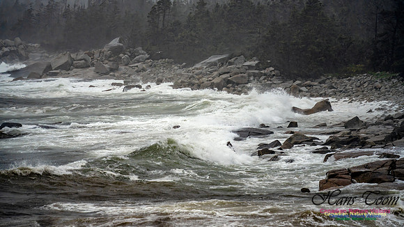 Nova Scotia Gale 2024-09-07 132