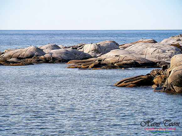 Coastal Barrens 100