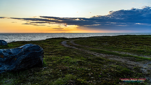 Baccalieu Coastal Drive 117