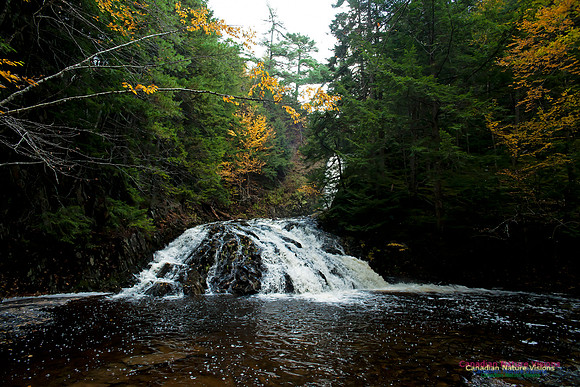Butchers Falls