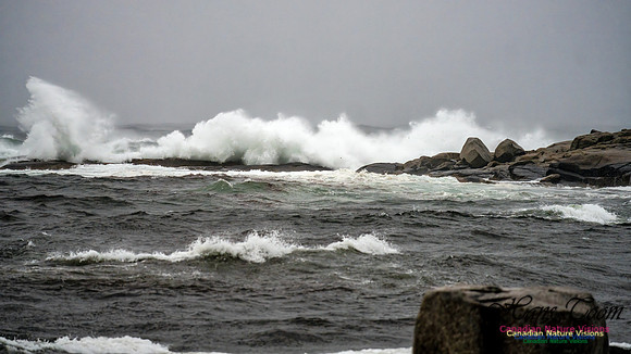 Nova Scotia Gale 2024-09-07 176