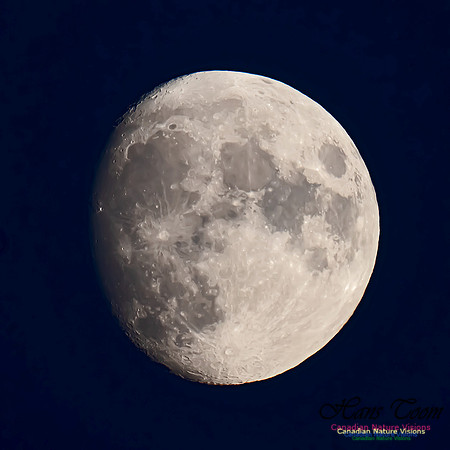 Brier Island Moon 100